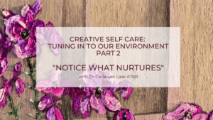 Creative Self Care: Tuning in to our Environment part 2  “Notice what Nurtures”