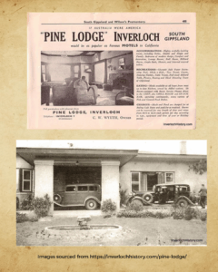 Images sourced from copy