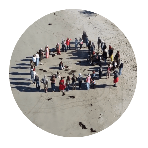 Dr Carla van Laar Creative & Experiential Therapy, Creative Mental Health, Creative Supervision